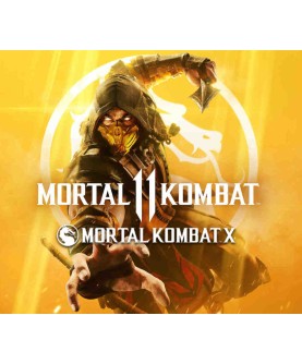 Mortal Kombat 11 and X Bundle Steam Key 